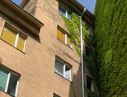 Jugendhilfe Casa Moabit